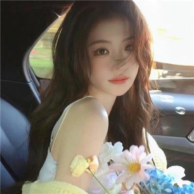 全面搜寻圣诞狗狗